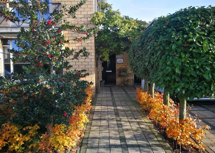 B&B Le Bon Vivant Eindhoven